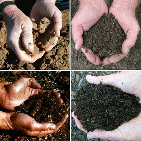 terroir